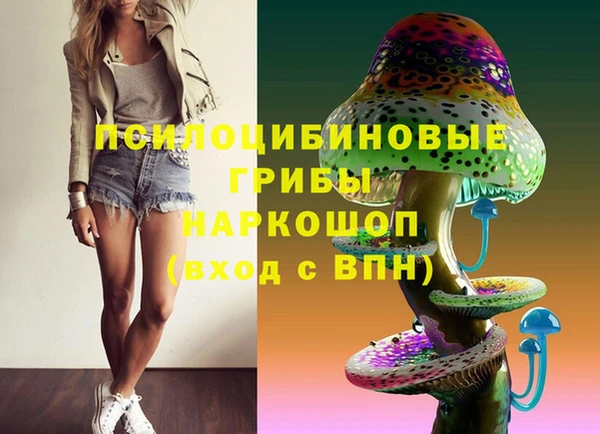 mdpv Богородицк
